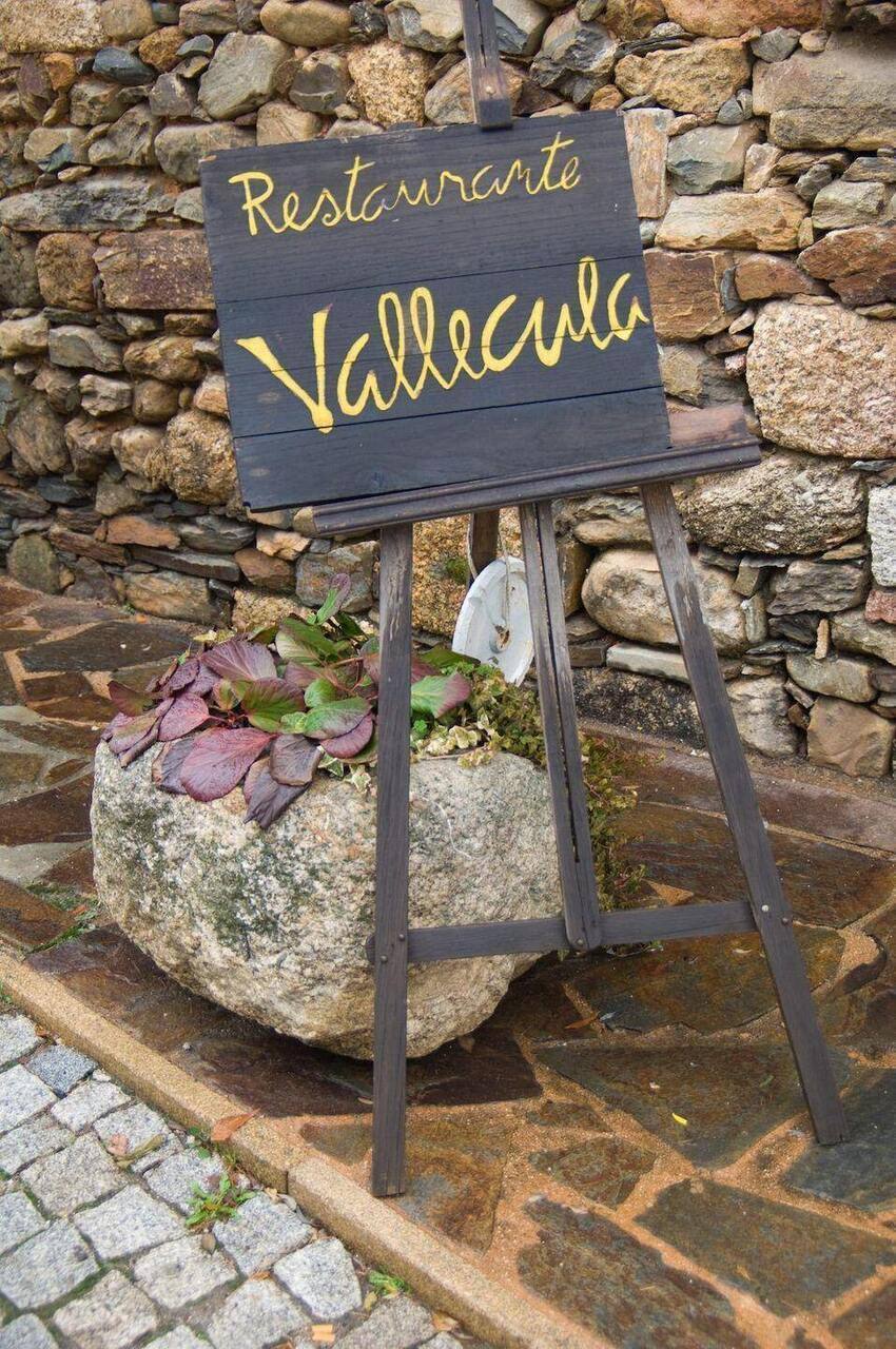 Vallecula