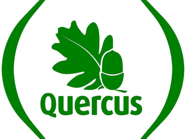 http://files.qrz.com/f/cr5wff/Logo_Quercus.jpg