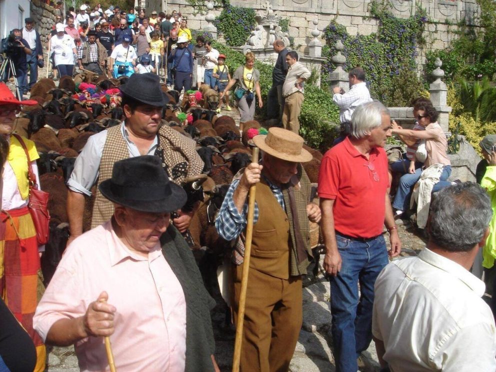 http://chocalhos.cm-fundao.pt/