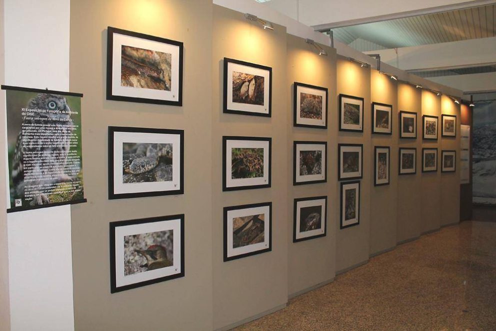 Centro de Interpretação da Serra da Estrela