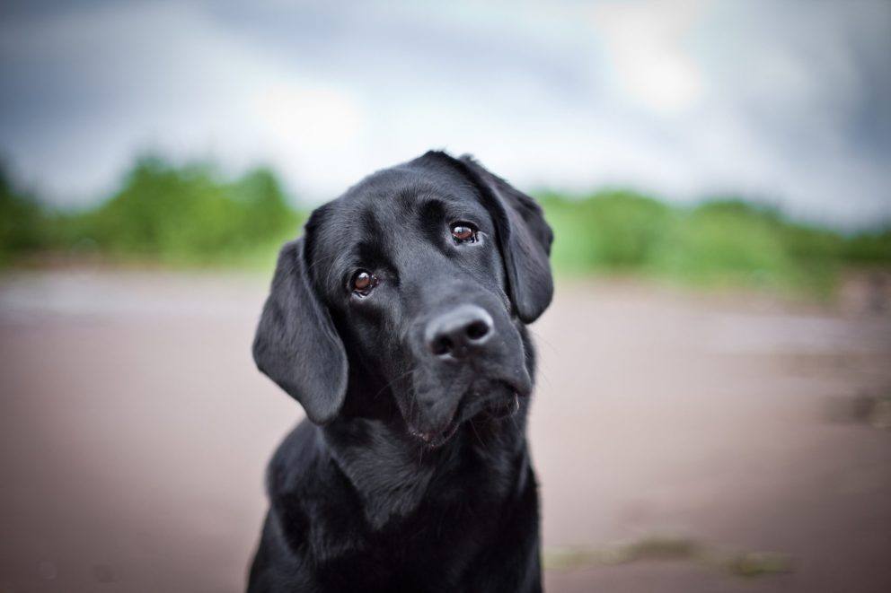 Shutterstock 143114968