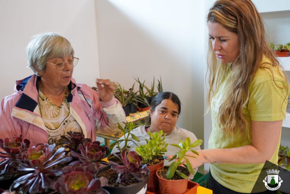Mercado Terra Meda