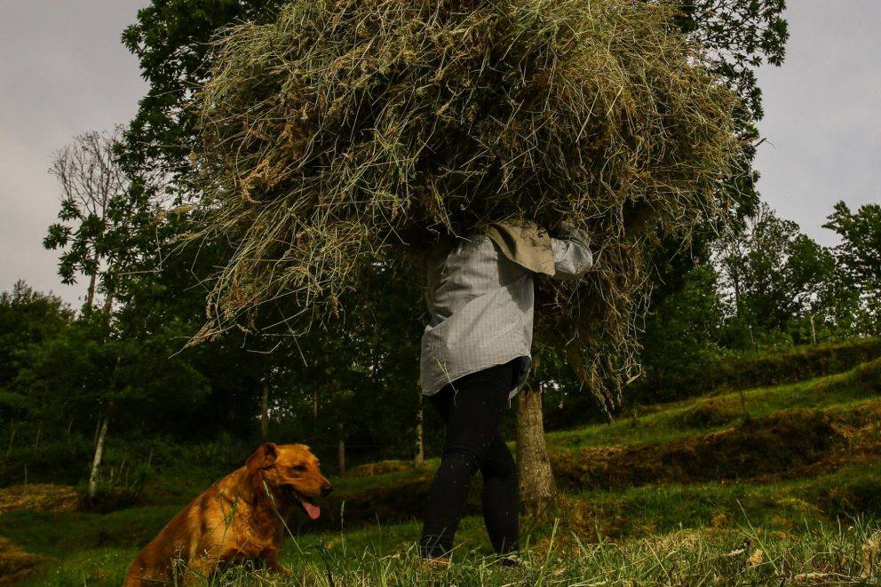 359335425 648144050692469 6128717311953122268 N