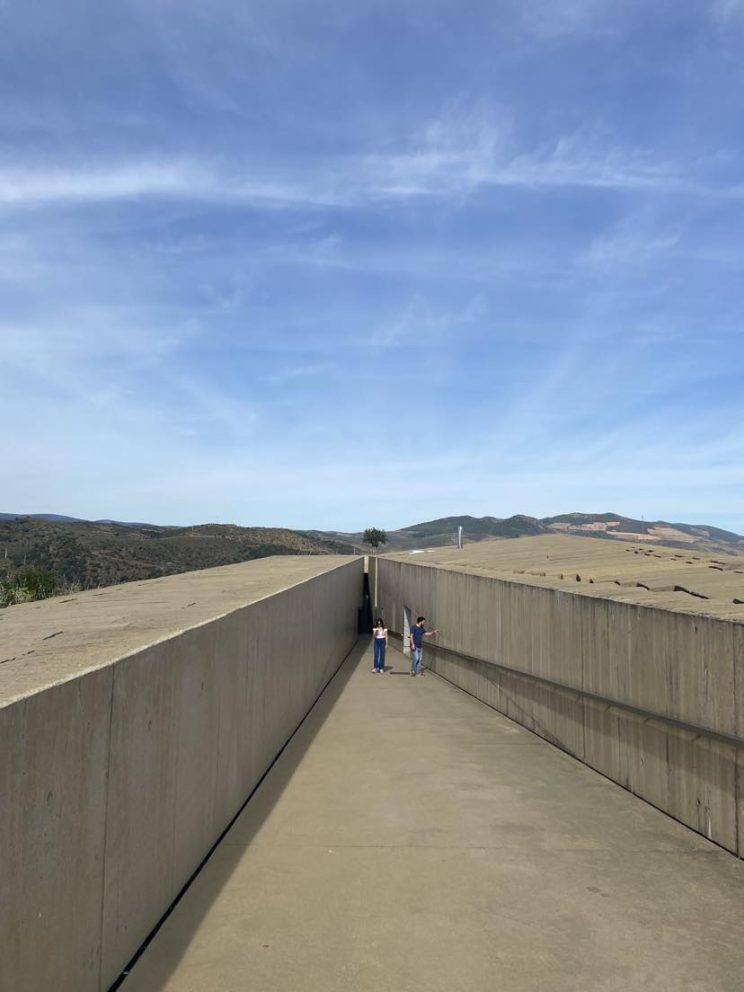 363290972 248972131267772 6747198902328479327 N