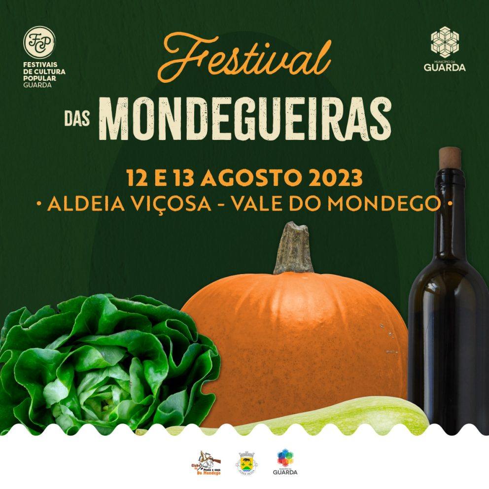 Cartaz Aldeiavicosa2