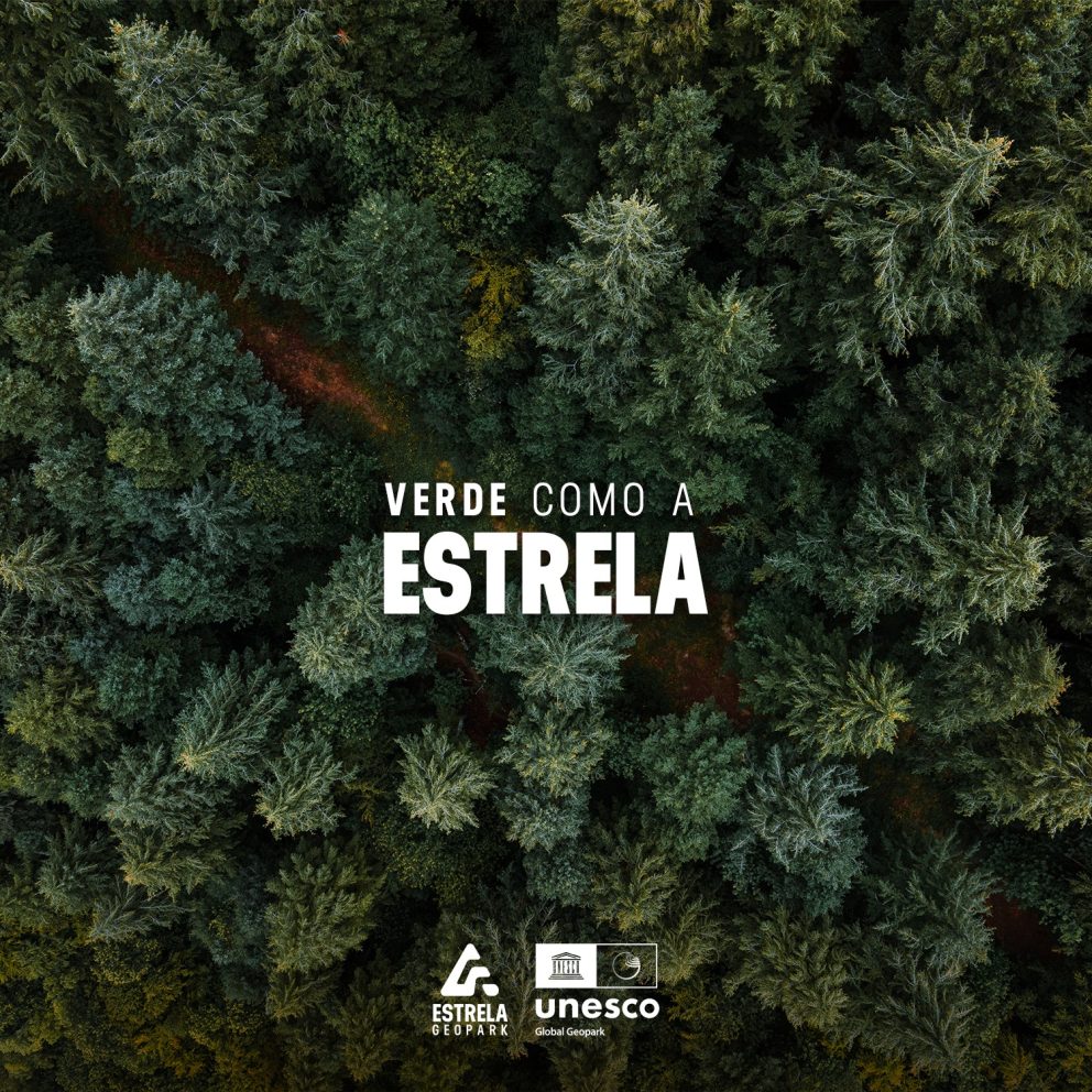 375055911 626899219625827 6609709284457869401 N