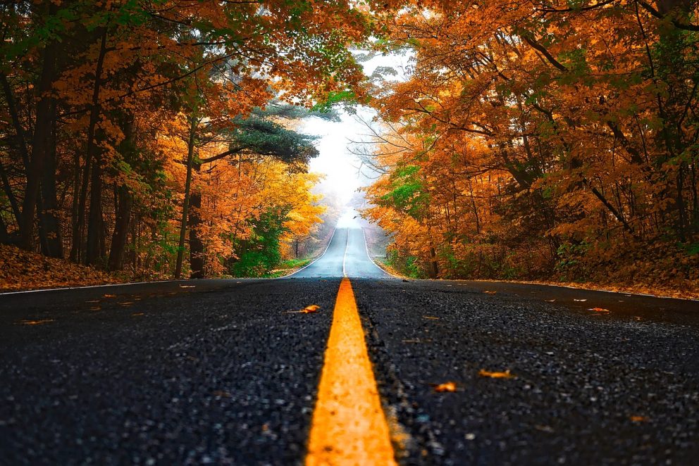 Autumn 1758194 1280
