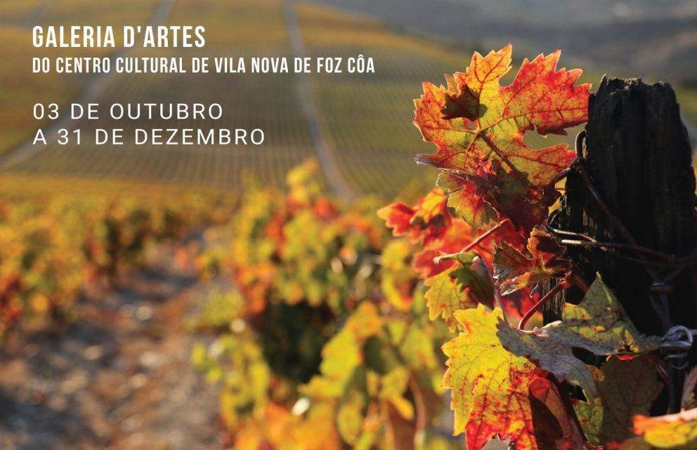 Coa Douro2