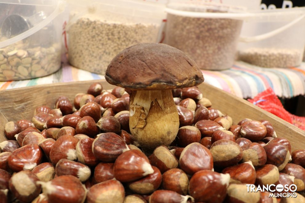 Feira Castanha Trancoso