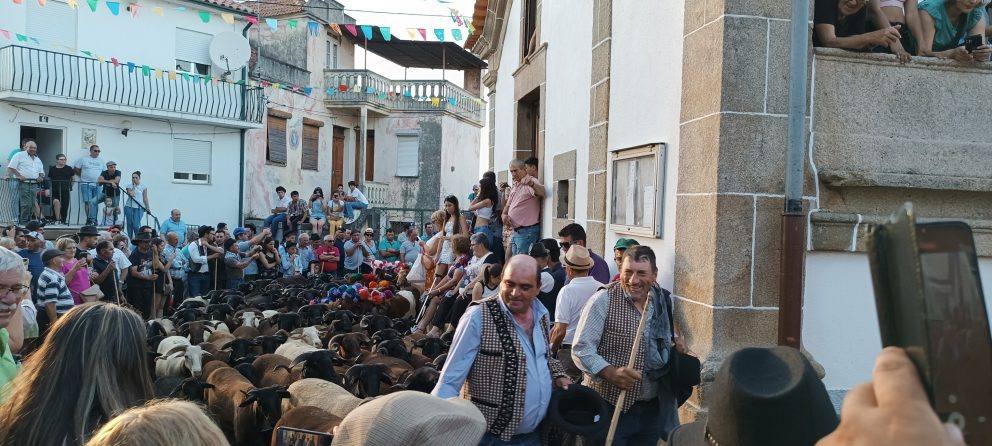 Festa Transumancia