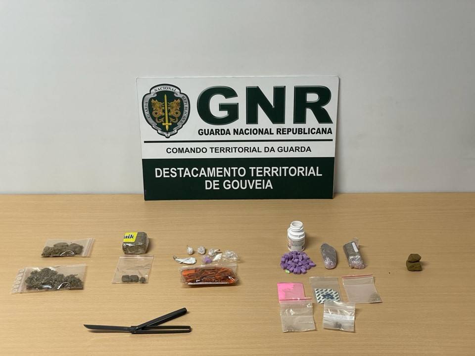 Gnr Guarda Apreensão (005)