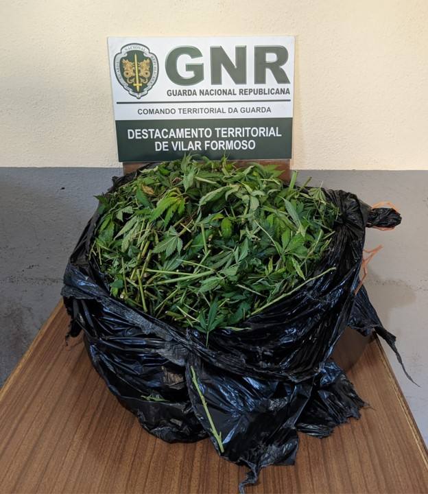 Gnr Guarda Apreensão (006)