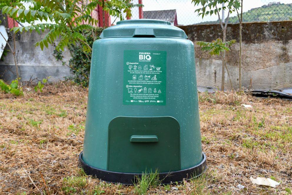 436367382 439024552102946 4935079137826985854 N