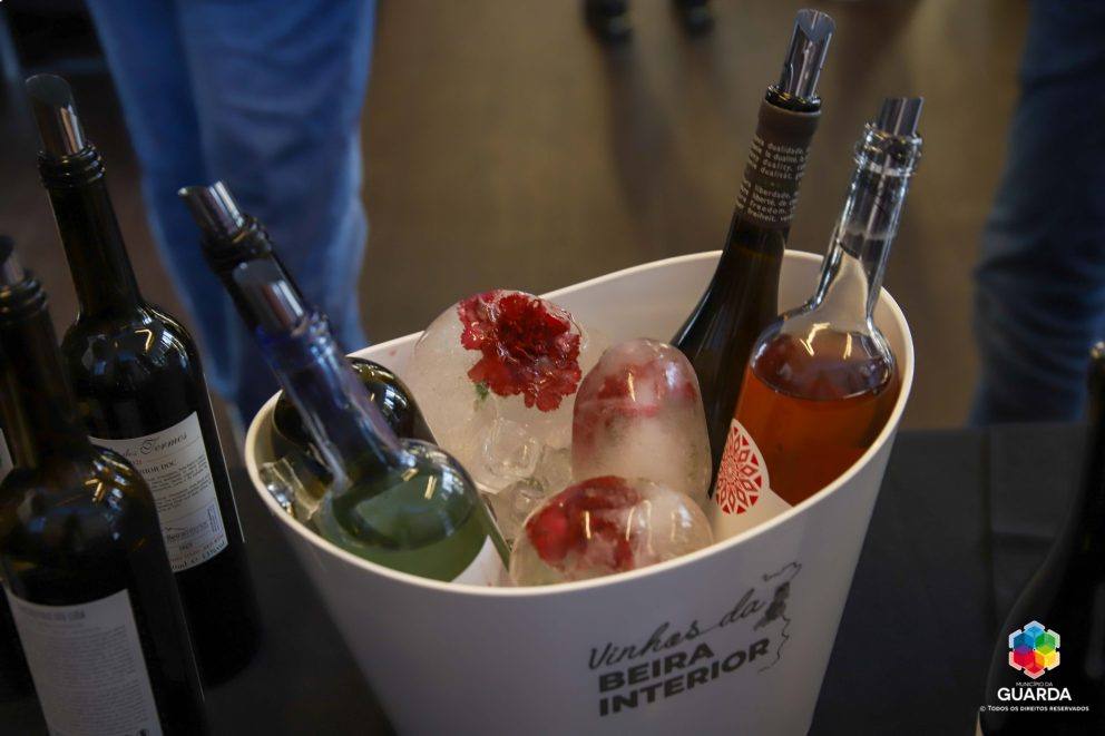 440393968 837933075031619 4684307067486973212 N