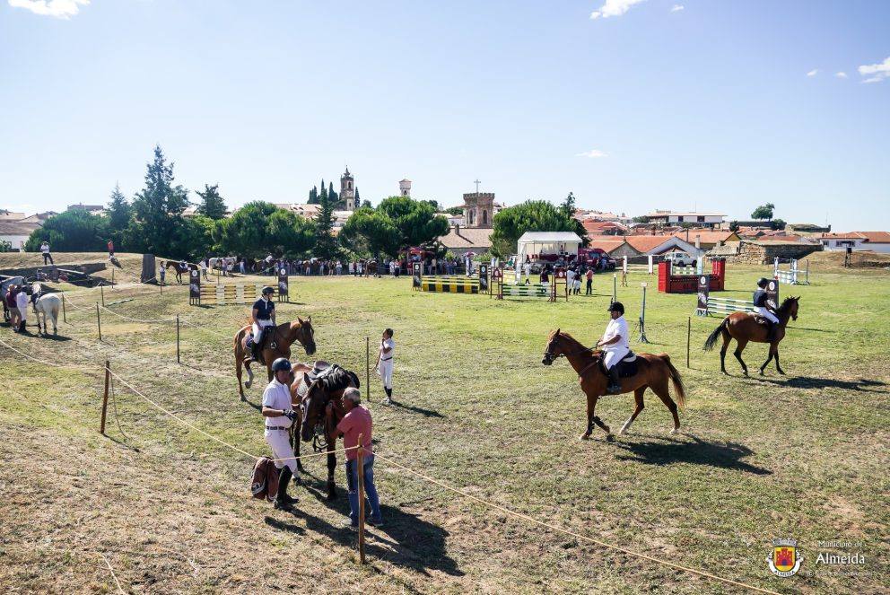 350528704 610258224578612 6105380704119699747 N