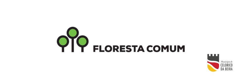 Floresta Comum