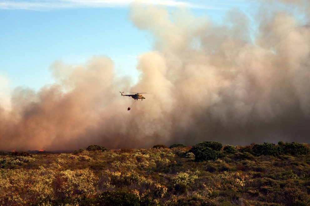 Bush Fire 3806345 1920