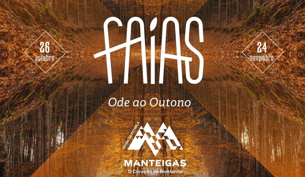 Faias 1 1