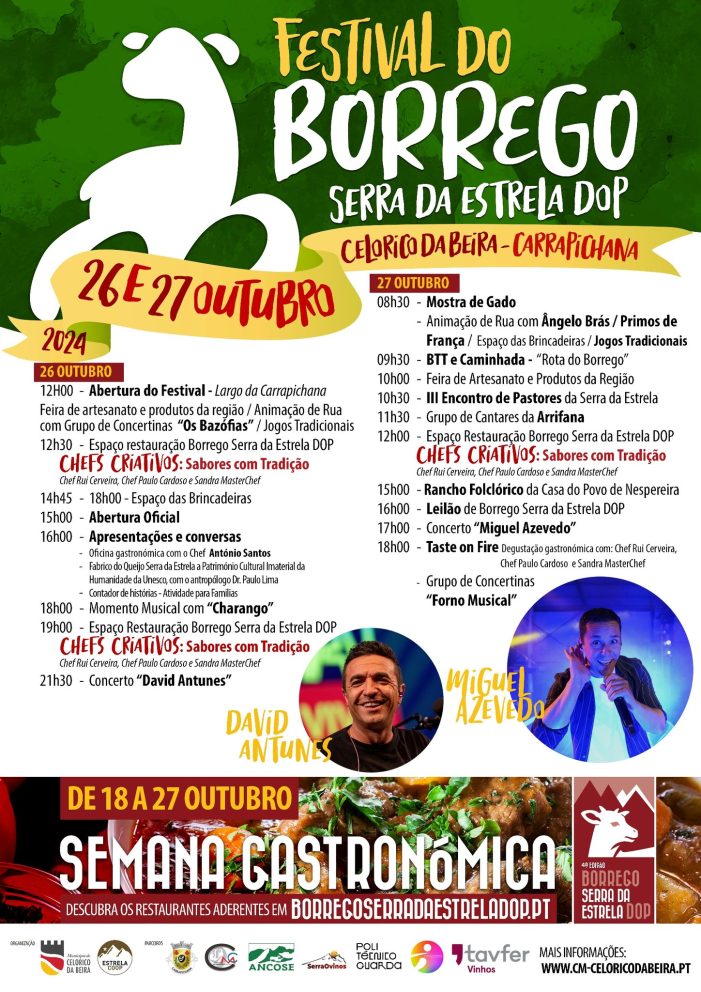 Festival Borrego Cb2024