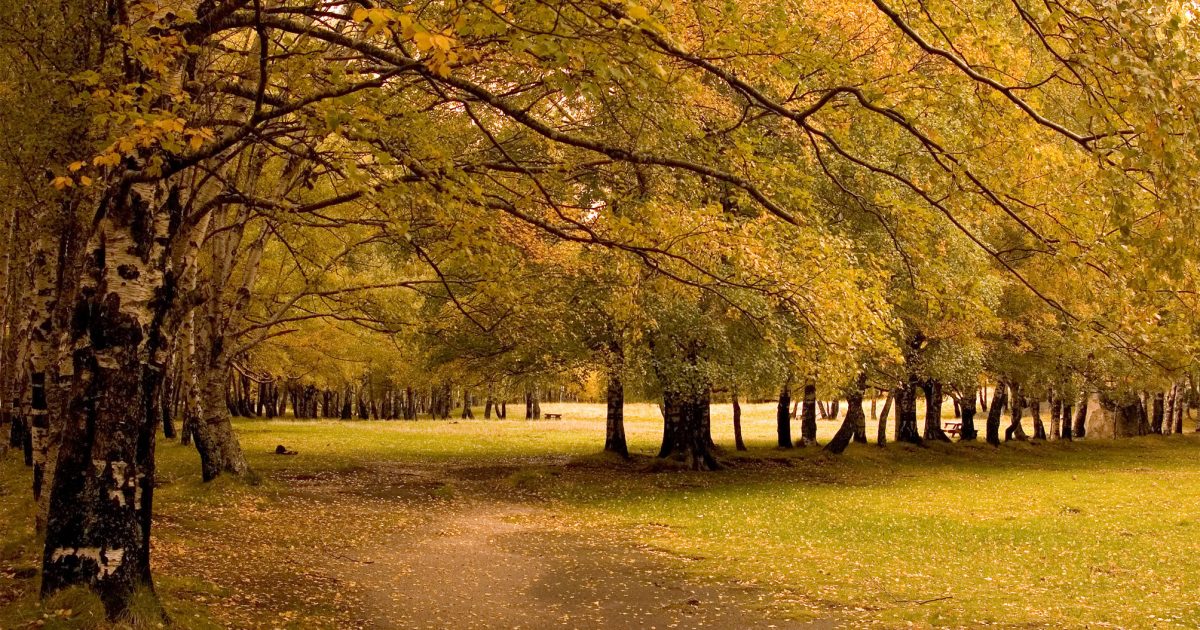 Mudanças na paisagem são o foco do décimo Festival de Fotografia de Manteigas