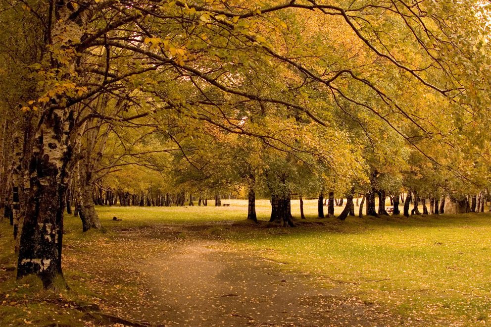 Natureza