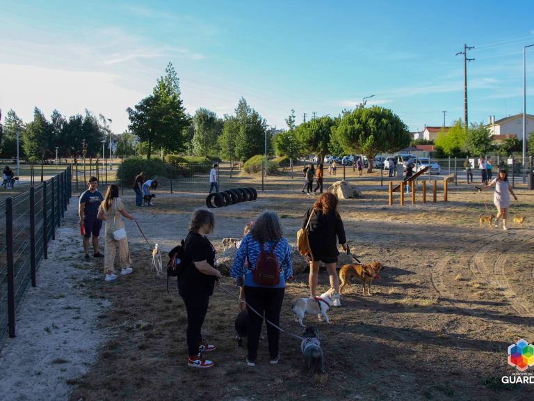 Passeio Canino2