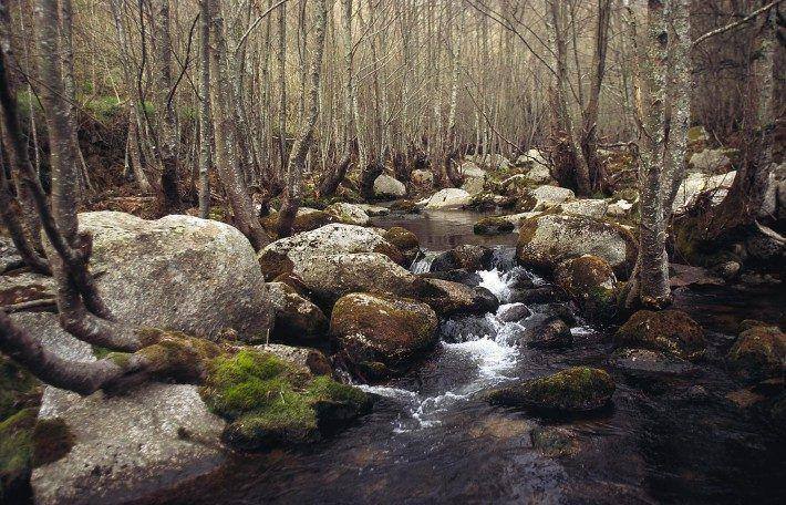 Rio Alva. Poldras. (JC)