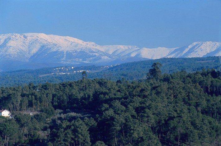 Serra da Estrela vista de Tábua, a Oeste, no Planalto do Dão. Inverno. (LAC)(PM)