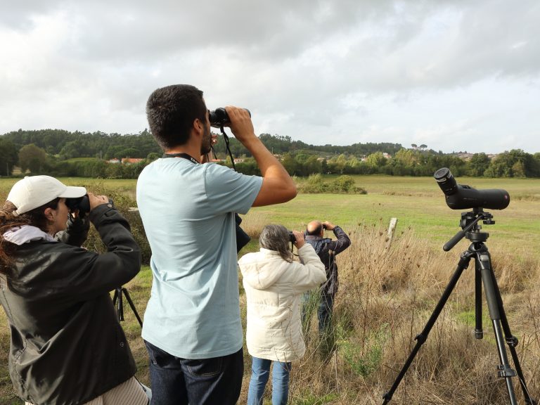 Birdwatching