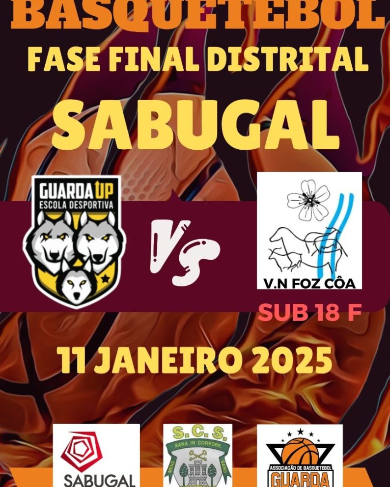 Cartaz Basquetebol2