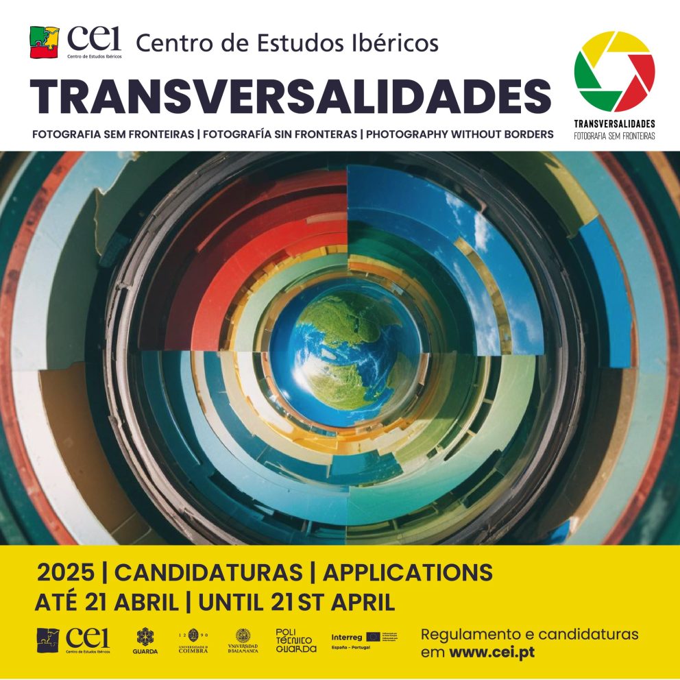 Cartaz Transversalidades