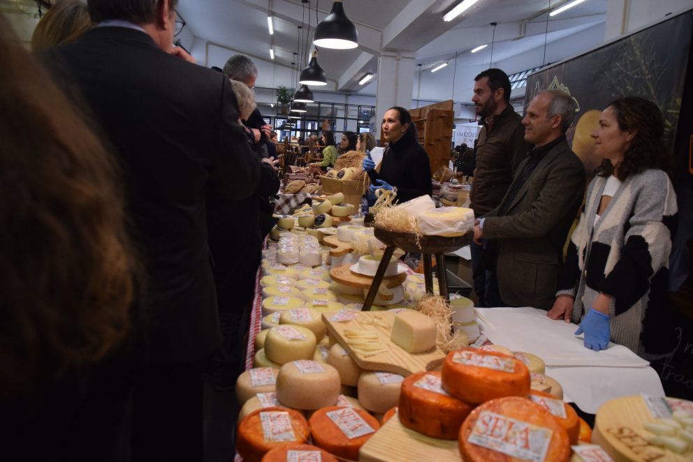 Feira Queijo Seia