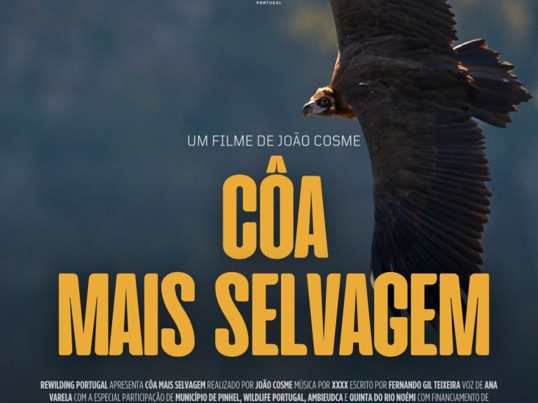 Filme Selvagem