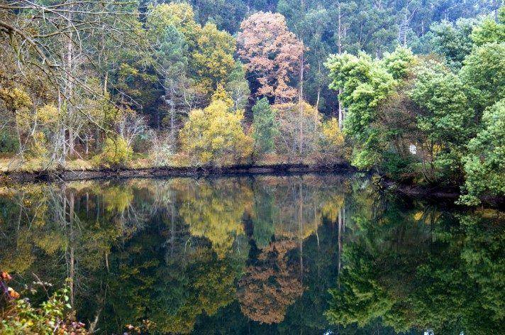 Rio Alva