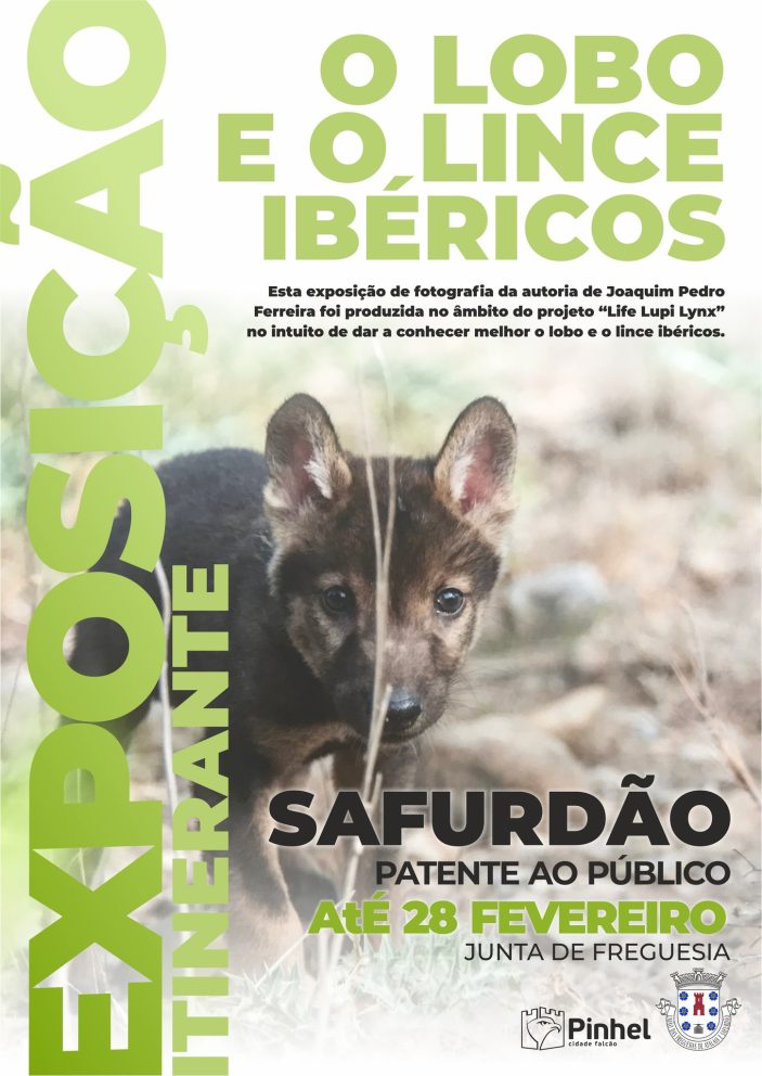 Cartaz Safurdao