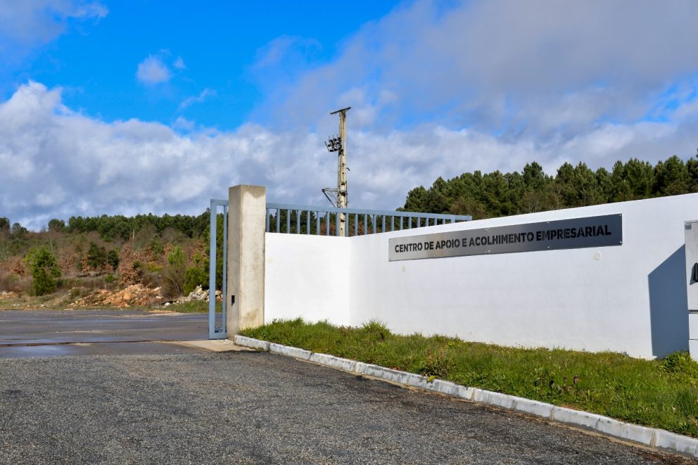 Centro Apoio Acolhimento Empresarial