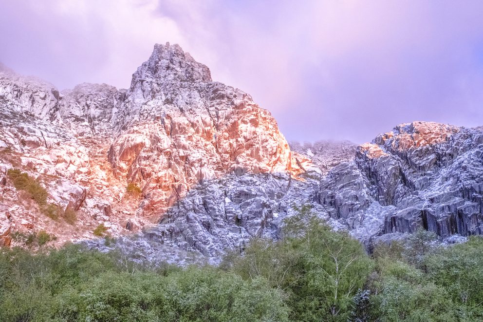 Covão Da Ametade Miguel Serra