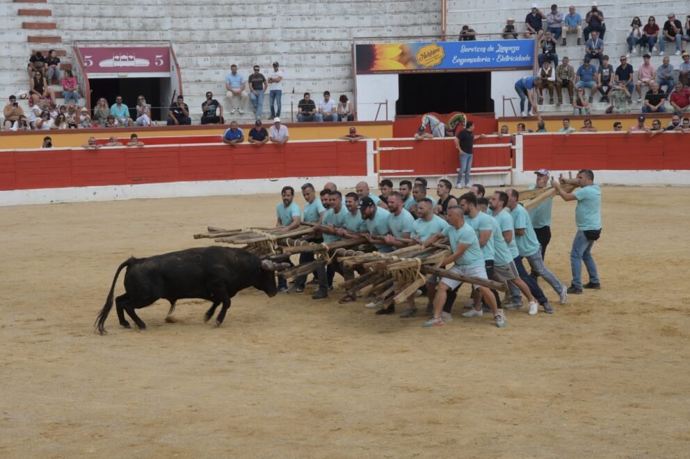 Capeia Montijo