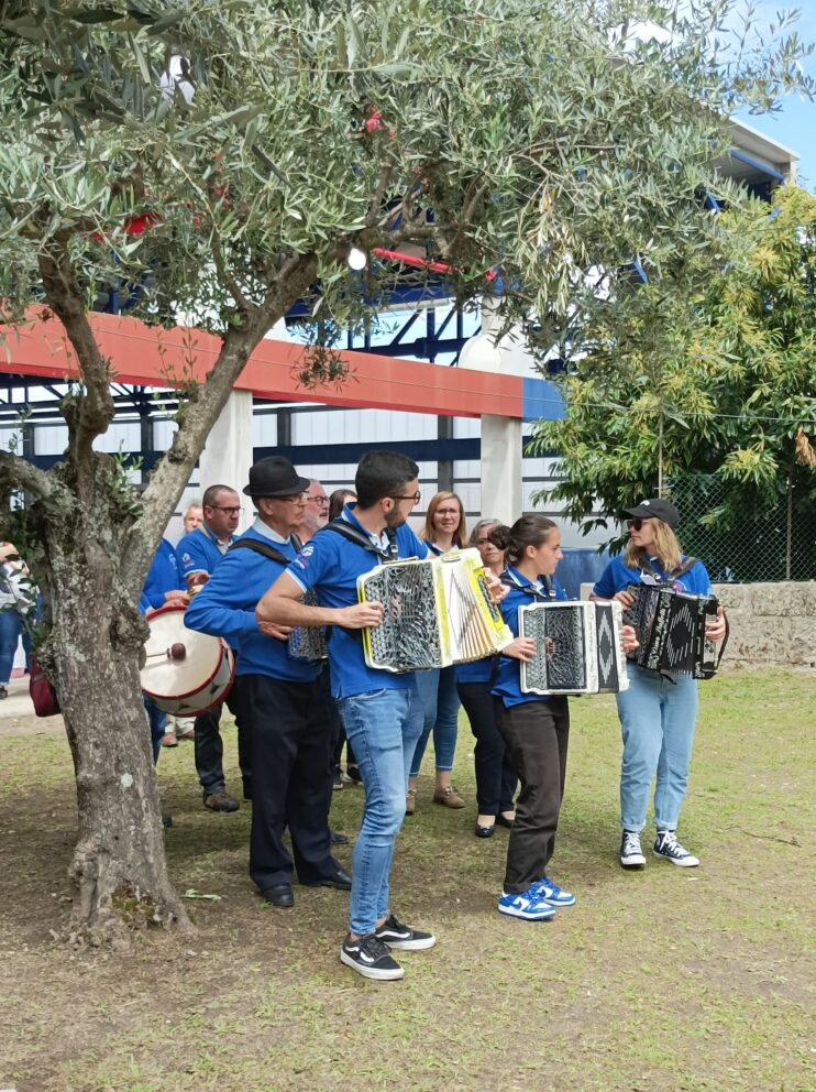 Concertinas Gouveia Mun