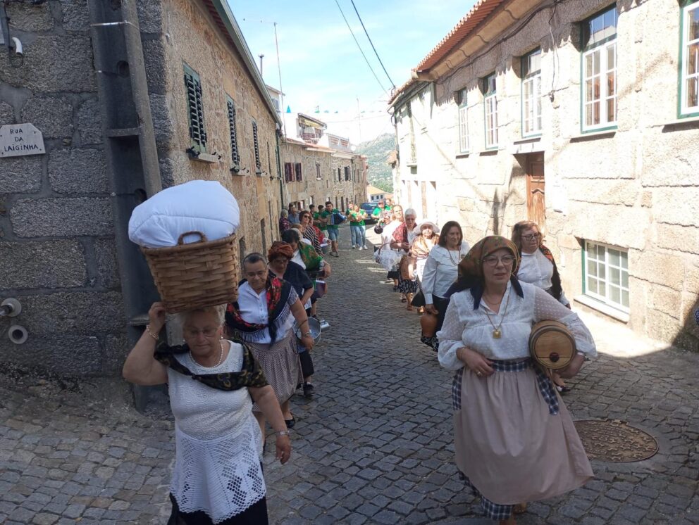 Mondegueiras Aldeiavicosa