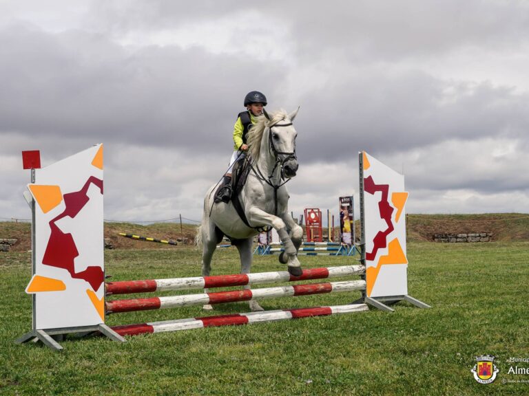 Almeida Equestre