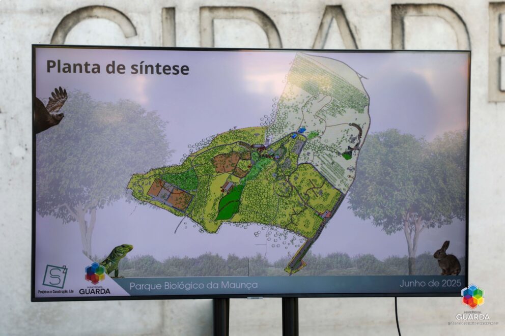 Diadoambiente