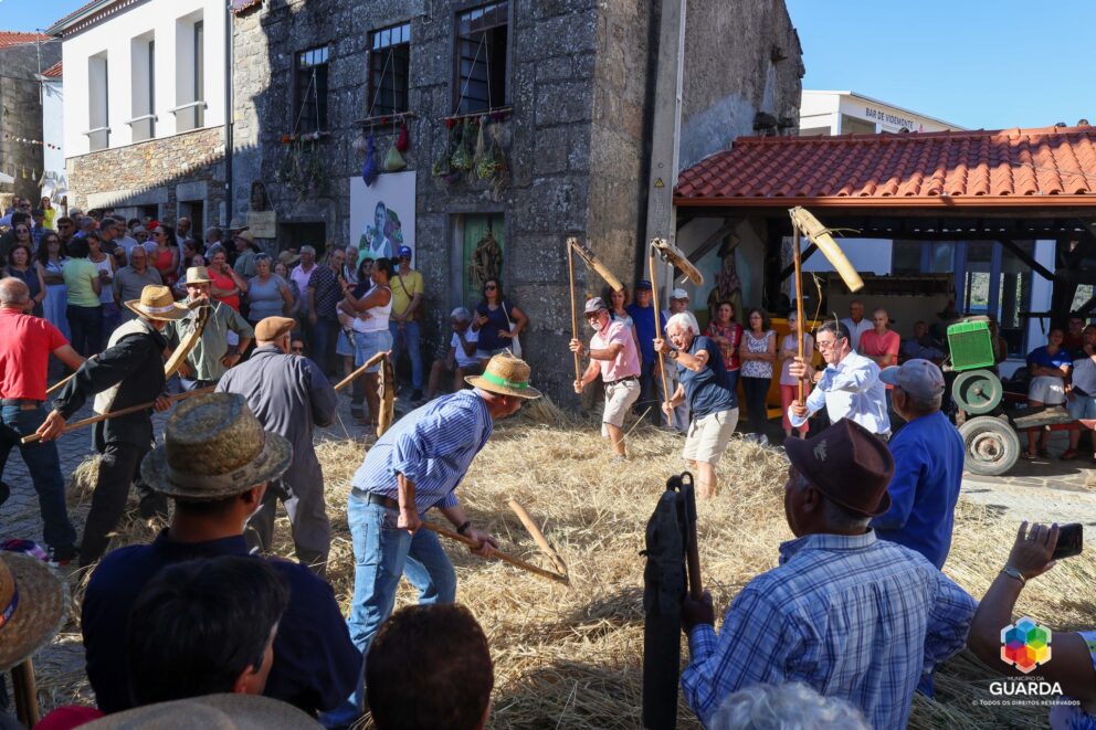 Festival Pao Videmonte