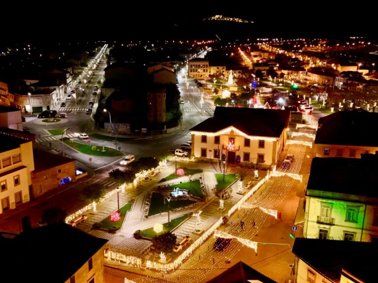 Figueira Terra Natal Fotografia2