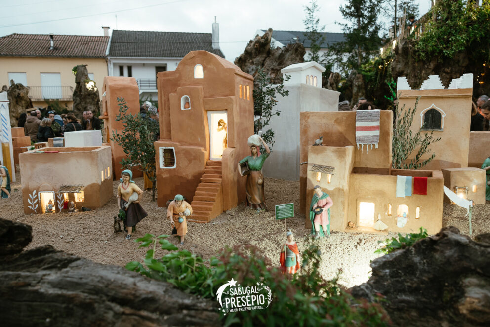 593971056 1256599513177361 3996978066947078333 N