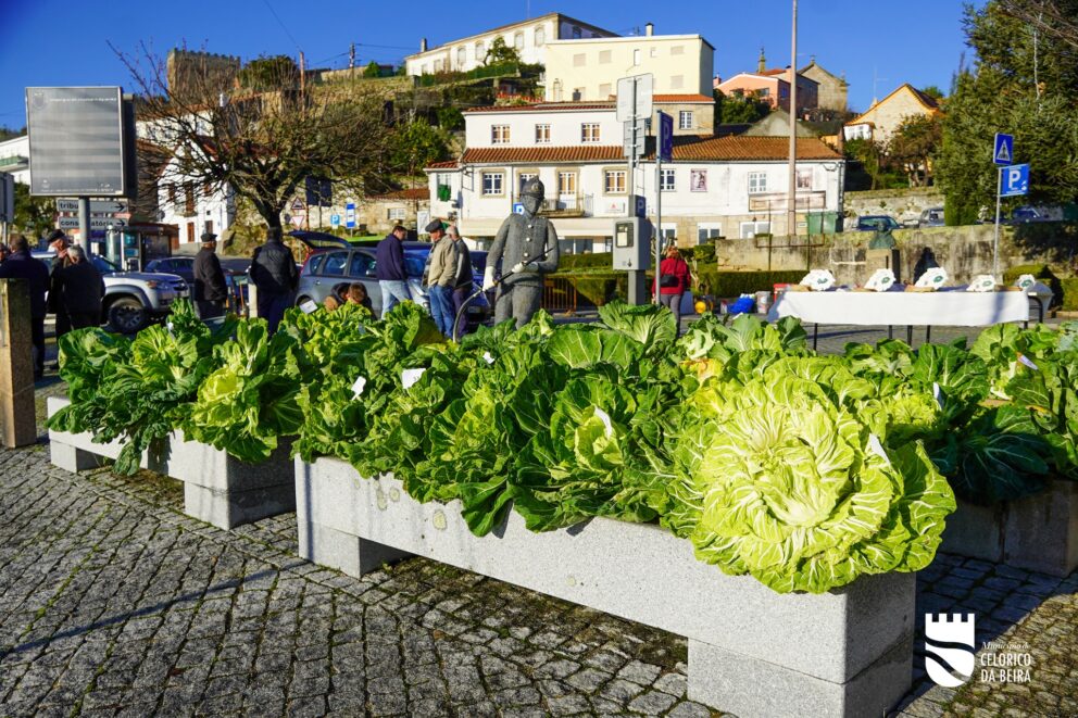 599941639 1321969426639866 5958021445696313405 N