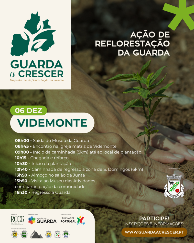 Cartaz Videmonte
