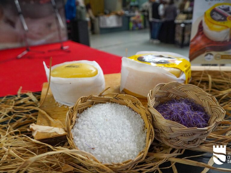 Feiraqueijo Celorico