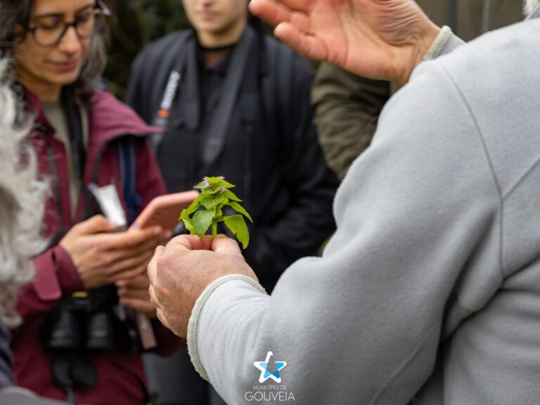 Saida Campo Biodiversidade