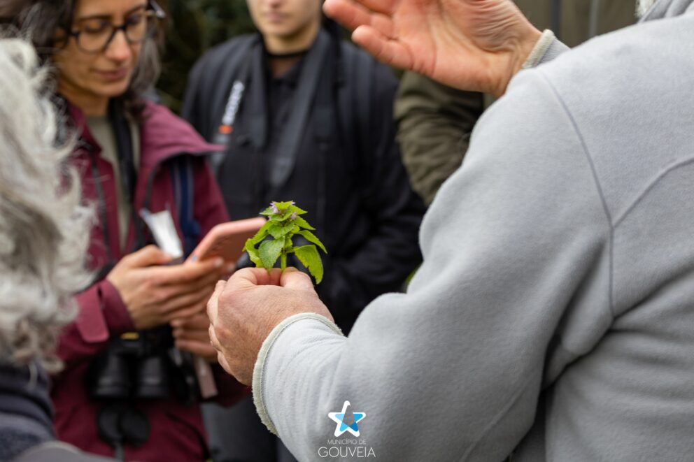Saida Campo Biodiversidade